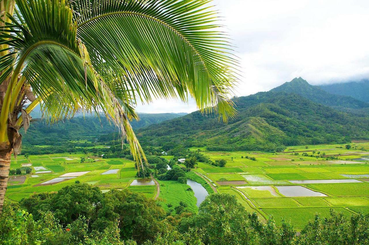 Ferienwohnung Islander On The Beach 352 Oceanfront *Penthouse* Ac Pool Kapa'a Exterior foto