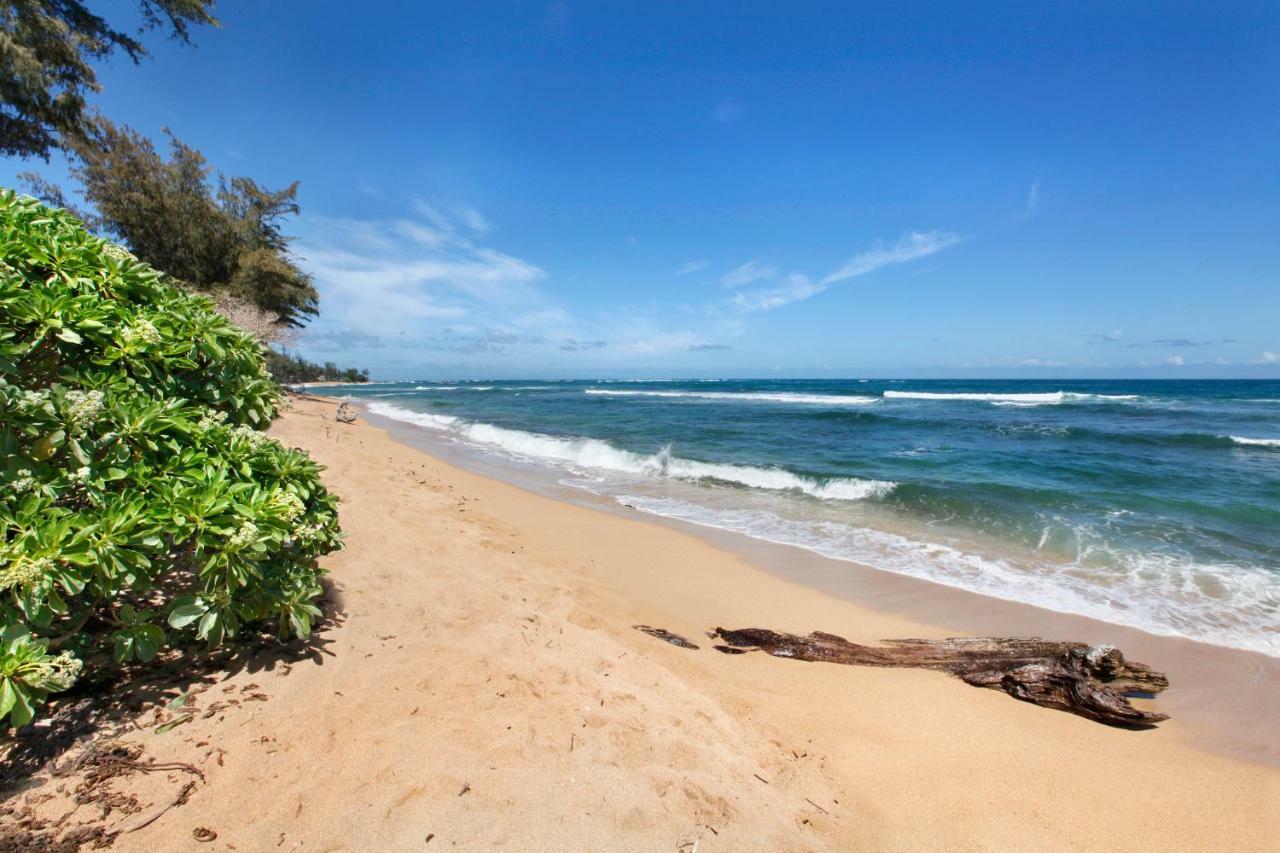 Ferienwohnung Islander On The Beach 352 Oceanfront *Penthouse* Ac Pool Kapa'a Exterior foto